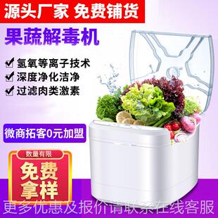 果蔬机 用去农残物净化机 水果食蔬菜家TY-005洗机会销拓客礼清品