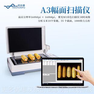 玉米考种仪玉米种果整穗截析面考种穗分仪水稻小麦玉YP-KZ04米考