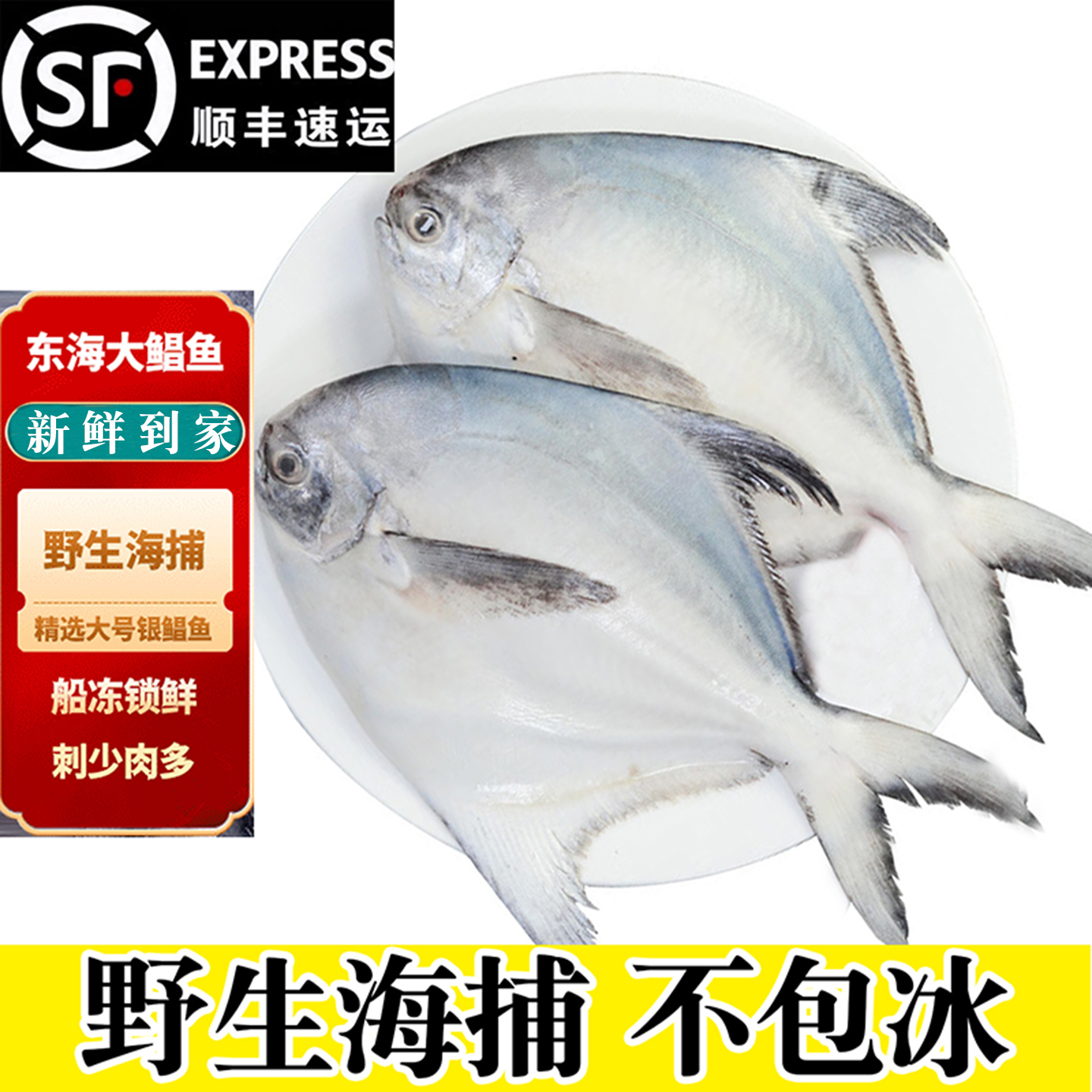 新鲜银鲳鱼金鲳鱼冷冻海鲜