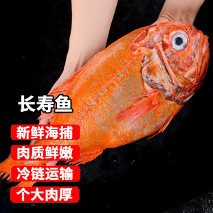 长寿鱼 新西兰海捕长寿鱼富贵鱼橙鲷鱼2-3斤海鲜水产生鲜鱼类