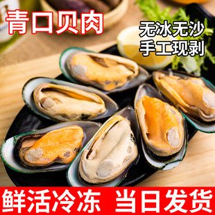 恋品惠青口贝肉新鲜捕捞冷冻去壳海虹肉贻贝青口贝蓝口贝纯肉海鲜