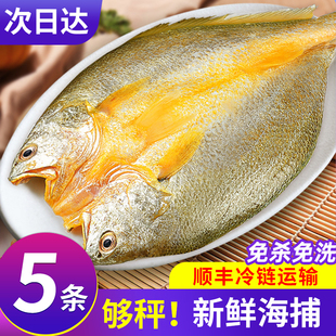 黄花鱼开背三去正宗新鲜冷冻野生特大黄鱼鲞深海水产黄鱼生鲜整箱