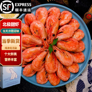 北极甜虾刺身超大北极虾头籽腹籽冰虾北极熊新鲜水产海虾鲜活熟冻
