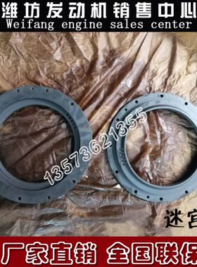 原厂迷宫环C62.06.07.0002 船用重庆潍柴XCW6200柴油发动机CW8200