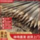 杉木桩河道工程打桩木绿化支撑杆落叶松油松户外防汛带皮原木桩