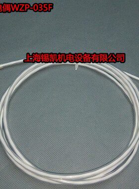 四氟套管防腐热电偶 热电阻 温度传感器 测温探头WZP-035F