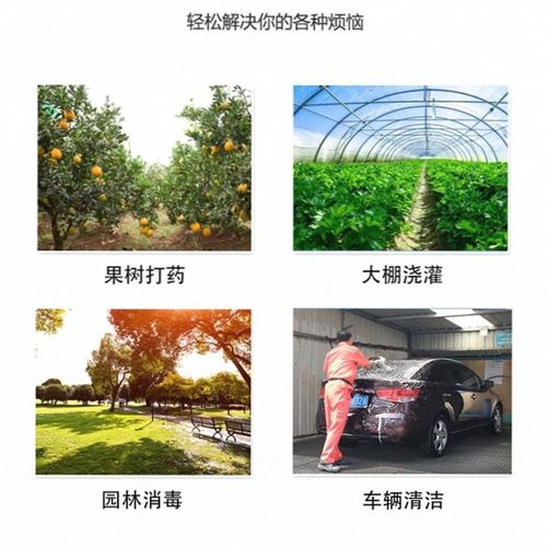 农用免黄油高压打药机三缸柱塞泵泵头喷雾器打药泵头大流量压力泵