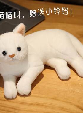 猫咪泻火玩具公猫性发泄玩具猫发情期交配陪睡觉仿真母猫伴侣公仔