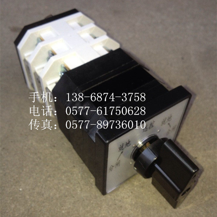 万能转换开关 LW12-16 D49.4031.3P