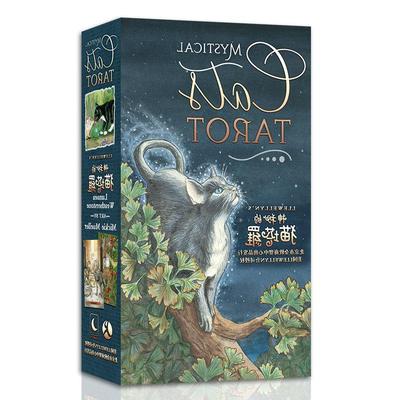 正版猫咪牌塔罗牌普及版经典韦斯特伟特维特花影正版桌游卡牌单牌