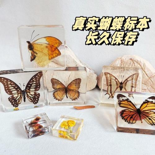 真蝴蝶标本彩色水晶树脂手工立体透明摆件幼儿园儿童diy玩具礼物