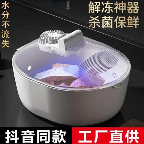 解冻神器2025新款家用肉类牛排保鲜食物锁鲜机全自动四合一解冻器