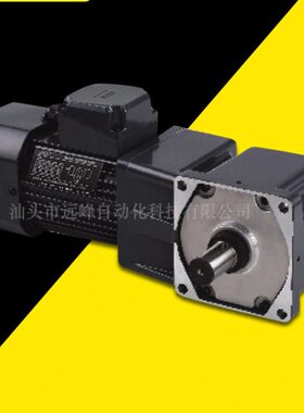 JSCC精研电机B250Y22L36RT B250Y22L50RT B250Y22L60RT