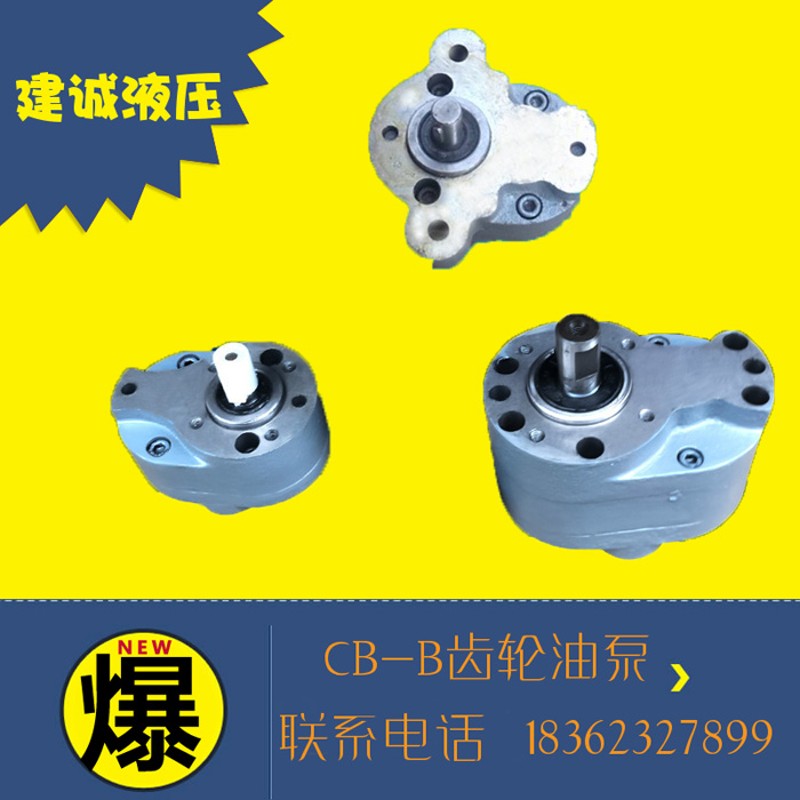 CB-B6/B10/B4/B16/B20/B25/B3A2/B40/B50/B63/B80/B125F齿轮油泵T
