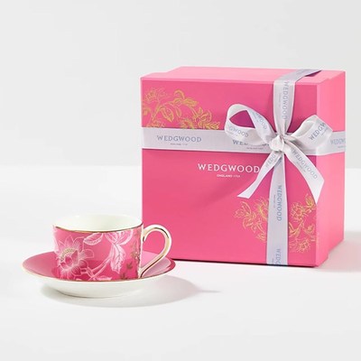 WEDGWOOD威基伍德2025限定漫游美境咖啡杯碟骨瓷欧式Y杯子茶壶礼
