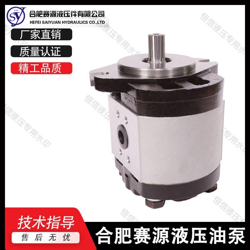 合肥赛源齿轮泵CBT-F410/412.5/414/416/418/419.2/420/423-A油泵,机械设备,其他机械设备,淘宝优惠券,粉丝福利购,淘宝优惠卷