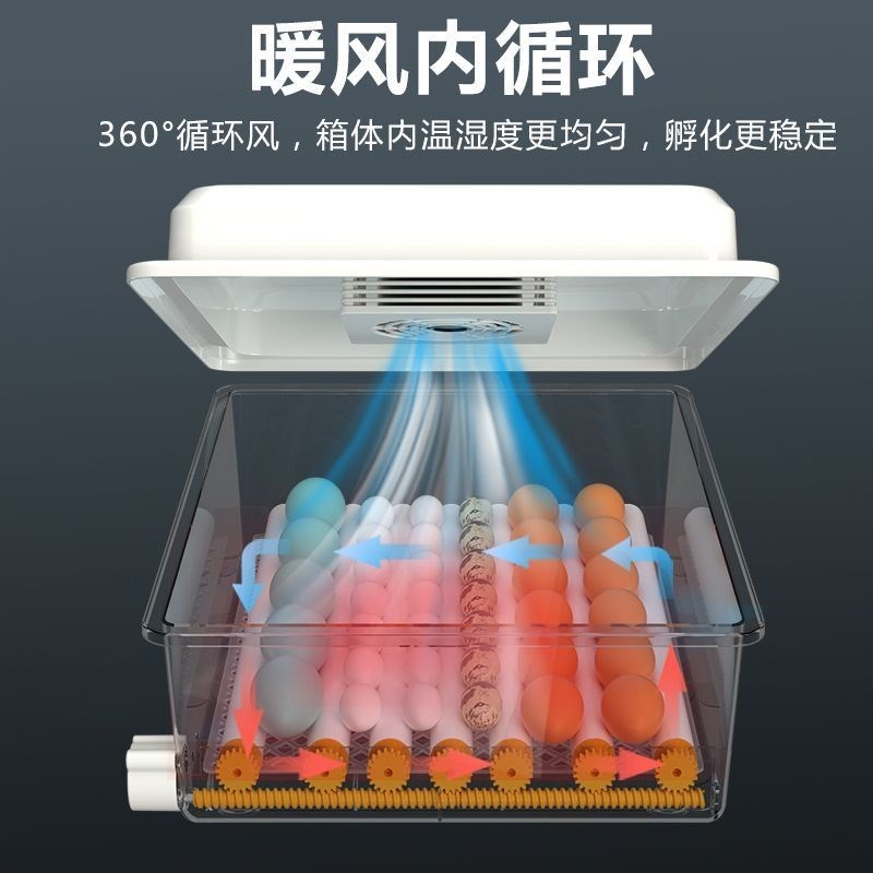 孵小鸡的机器家用全自动孵化机小型鸭鹅鹌鹑鸽子T孵化蛋孵小鸡的