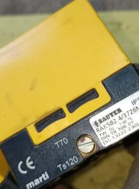 SAUTER 温度控制开关RAK582.4/3726M