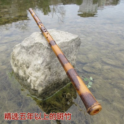 萧洞箫萧乐器南箫竹箫q初学者短箫虎皮斑八孔洞箫湘妃竹洞箫演奏