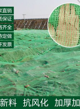 盖土网防尘网建筑工地绿化扬尘网环保覆盖绿网封车封船网子包邮
