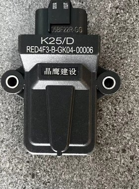 适用于踏板摩托车朗杰ROJO电喷系统ECGU电脑板喷油嘴水温 氧传感