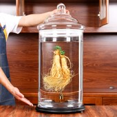 特大号玻璃泡酒瓶带龙头专用密封酒坛50斤 100斤大容量高档药酒缸