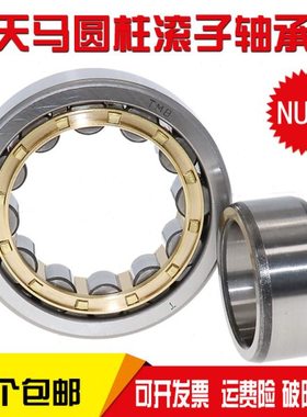 天马TMB圆柱轴承N NU NJ RN NUP NF1006 1007 1008 1009 EM C3 4