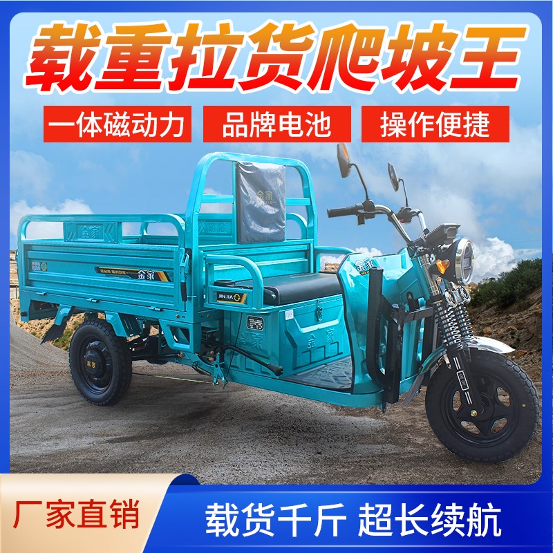 电动三轮车载重拉货摆摊快递车大功率工地农用拉货三轮车新国标