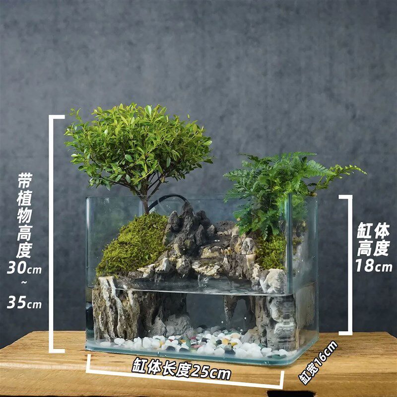 流水版鱼缸造景全套生态微景观带循环水泵室内小叶赤楠狼尾蕨