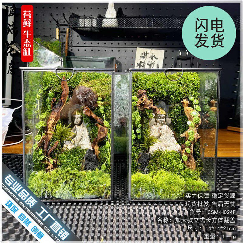 苔藓沉木微景观雨林缸生态瓶造景几何玻璃花房创意植物盆景长方
