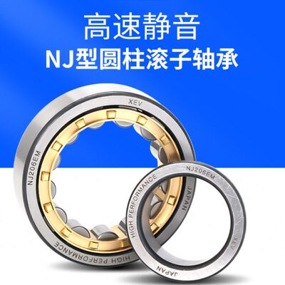 XEV圆柱滚子轴承NJ 411 412 413 414 415 416 417 418 EM M/C3 C4