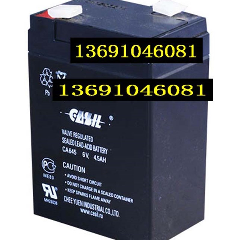 CASIL志源蓄电池 CA645 6V4.5AH CA648 6V4.8AH电子秤玩具车电池