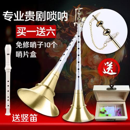 唢呐乐器全套d调c调初学者入门大小号乌木红木黑檀木喇叭民间锁呐