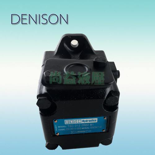 T6C 008/010/012 1R00/1R01/1R02/1R03 A1/B2 DENISON 丹尼逊