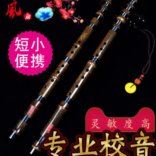 短箫特制演奏级专业洞箫一节紫竹高档萧初学箫笛G调F调潇民族乐器