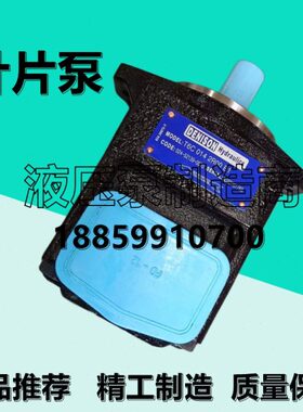 丹尼逊T6C 014/28/25/10/20/17/12/31/06/08 2R00/1R02 B1叶片泵