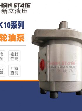 CBK1004/1006/1008/1010/1012/1016/1020/1025-B1FR/A1FR齿轮泵