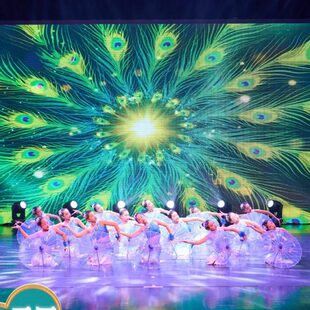 傣乡的雨同款舞蹈道具伞少儿群舞古典舞傣族跳舞专用舞蹈伞工艺伞