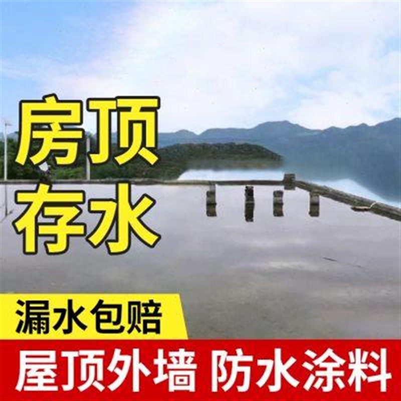 鲁班神工JS防水涂料鱼s池水池补漏材料屋顶堵漏王厨房卫生间专用