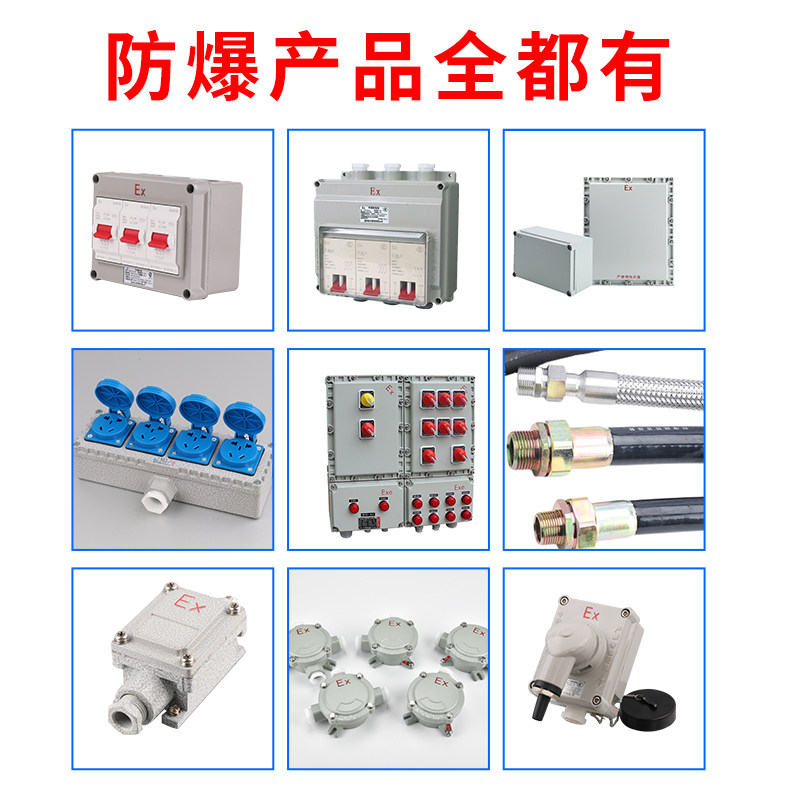 防爆墙壁开关220V10A明装暗装86型单联双联三联双控翘板照明开关