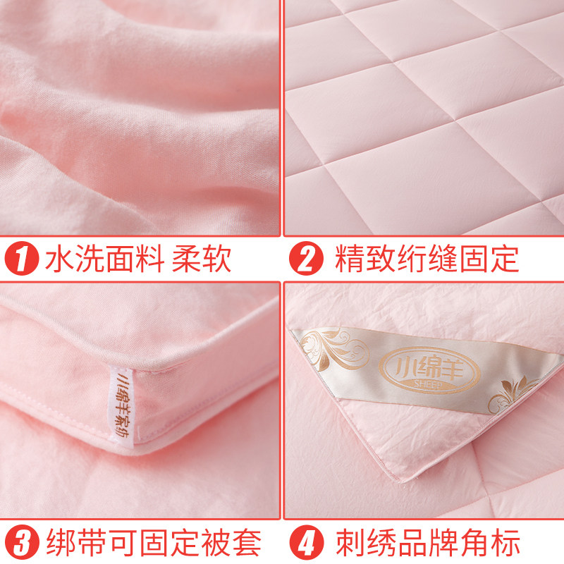 小绵羊婴肤绒冬被水洗磨绒暖肤冬被春秋四季单双人羽丝绒太空褥子
