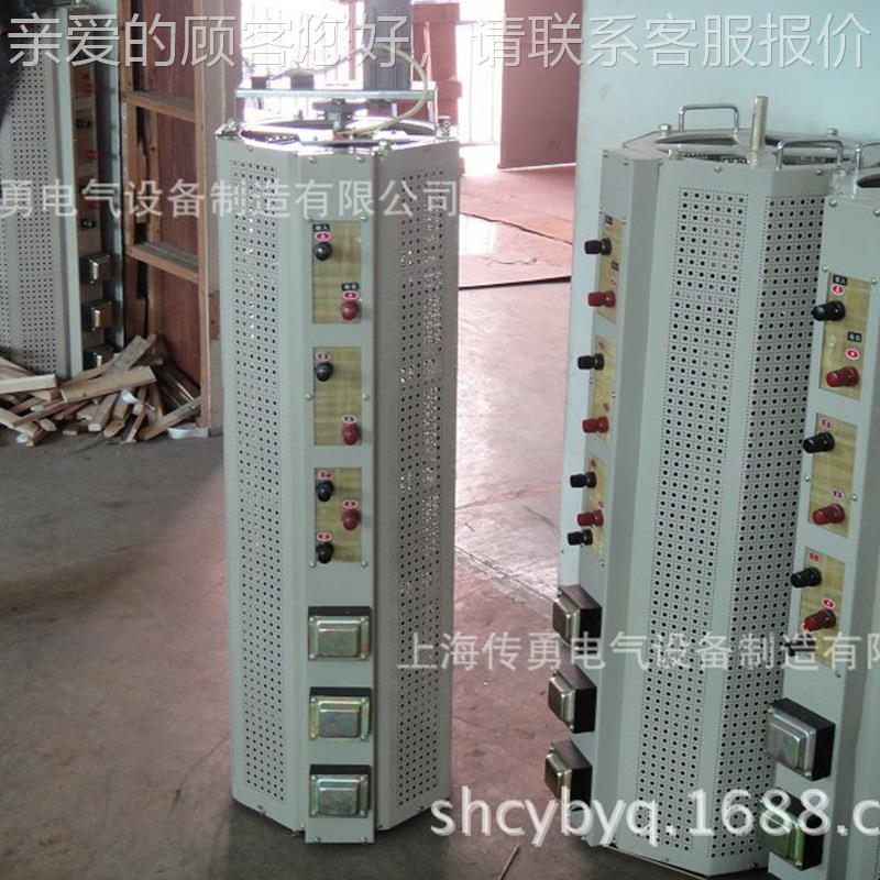 上海传应TSG勇C2J接触式自供耦调压器0-40TSGC2JV可3调 感应调压