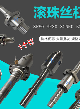 SFV0 SFS0 SCNH0 BSHR0 1205 1605 1610 2005 2505滚珠丝杆螺杆