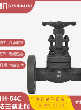 J41H-64C蒸汽导热油A105锻钢高温高压法兰截止阀DN20 25 32 40 50
