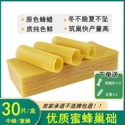 中蜂深房巢础蜜蜂巢基蜡脾蜡皮30片养蜂工具标准蜂箱中意蜂群巢脾