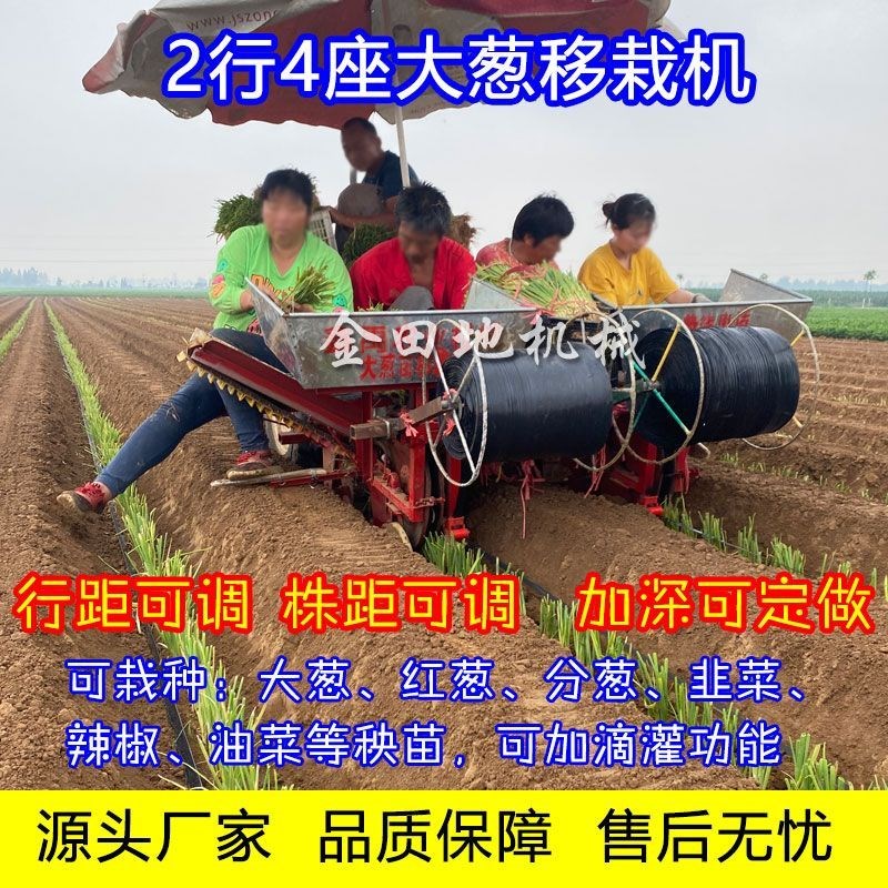 新款大葱移栽机大葱栽苗q机2行4行秧苗移栽机菊花药材栽苗机工厂