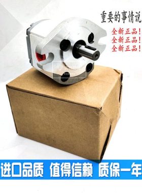 品质精品齿轮泵P101/P102/P104/P105/P106/P107/P108/P109 RP01GT