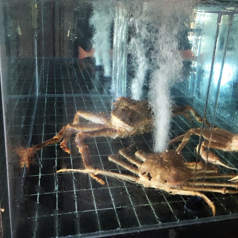 大型海鲜缸定做单层酒店海鲜池定做饭店海鲜缸鱼缸定做螃蟹缸干缸