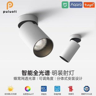 普洛缇明装筒灯全光谱可调角度无主灯高级感家用客厅深杯防眩射灯