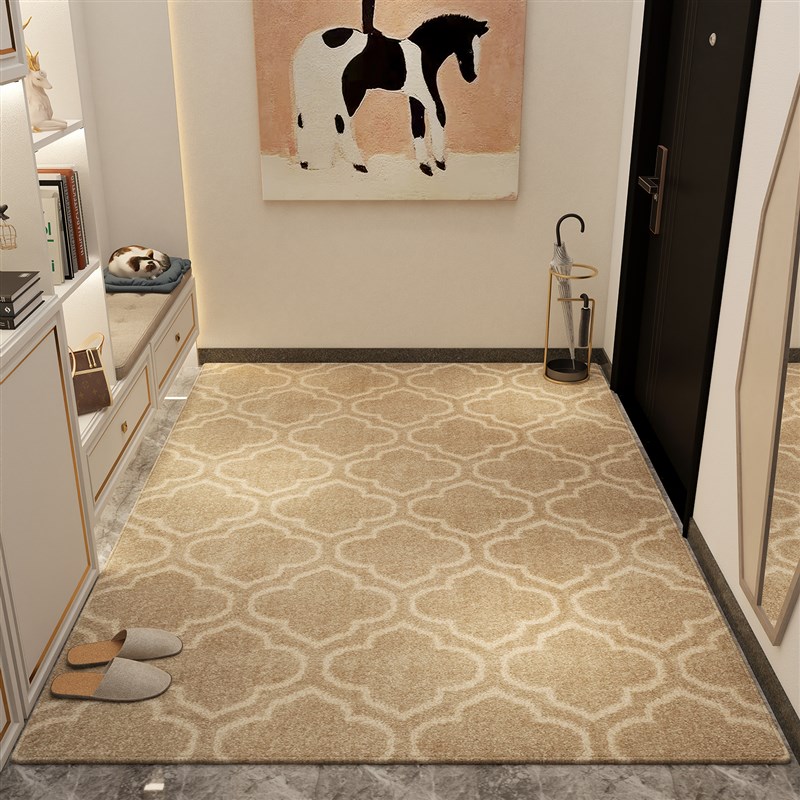 高级感定制入户门地垫家用进门门口脚垫门垫玄关耐脏客厅地毯轻奢